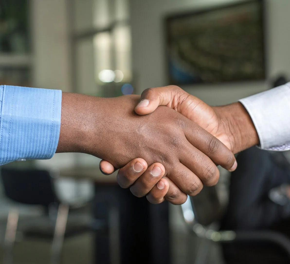 Two professionals shaking hands